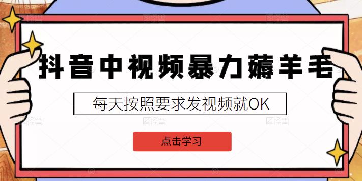2022抖音中视频暴力薅羊毛白嫖项目：新号每天20块，老号几天几百块，可多号￼-木白网创