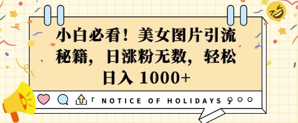 小白必看，美女图片引流秘籍，日涨粉无数，轻松日入几张【揭秘】-木白网创
