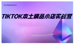 TikTok本土精品小店出海实战营，从入门到高阶，不止0-1!-木白网创