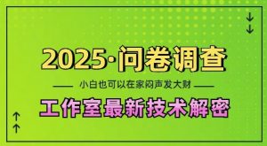 2025问卷调查最新工作室技术解密：一个人在家也可以闷声发大财，小白一天2张，可矩阵放大【揭秘】-木白网创