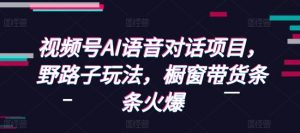 视频号AI语音对话项目,野路子玩法,橱窗带货条条火爆-木白网创