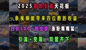 2025自热引流天花板，一条视频能带来四位数的收益，引流+变现双管齐下，日引500+创业粉，涨粉嘎嘎猛-木白网创