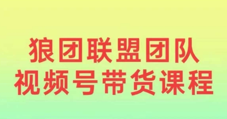 狼团联盟2024视频号带货，0基础小白快速入局视频号-木白网创