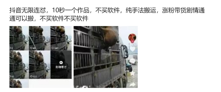 抖音无限连怼，10秒一个作品不买软件，纯手法搬运，涨粉带货剧情通通可以搬-木白网创