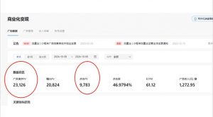 抖音雪花无人直播，一天躺赚3000+，0粉手机可搭建，不违规不限流，小白...-木白网创