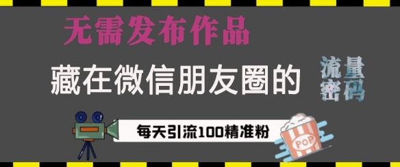 藏在微信朋友圈的流量密码，无需发布作品，单日引流100+精准创业粉【揭秘】-木白网创