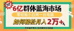 6亿群体蓝海市场，零经验小白用一台电脑，如何轻松月入过w【揭秘】-木白网创