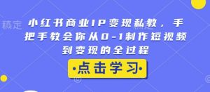 小红书商业IP变现私教,手把手教会你从0-1制作短视频到变现的全过程-木白网创