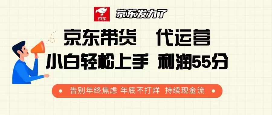 京东带货 代运营 利润55分 告别年终焦虑 年底不打烊 持续现金流-木白网创