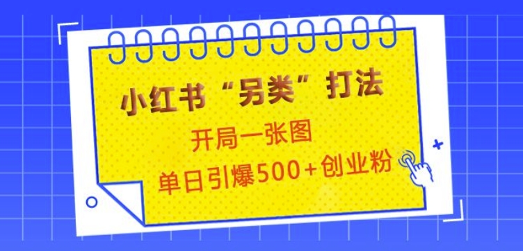 小红书“另类”打法，开局一张图，单日引爆500+精准创业粉【揭秘】-木白网创