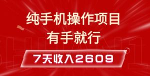 纯手机操作的小项目，有手就能做，7天收入2609+实操教程【揭秘】-木白网创