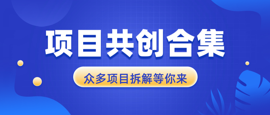 项目共创合集，从0-1全过程拆解，让你迅速找到适合自已的项目-木白网创