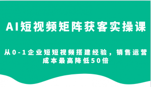 AI短视频矩阵获客实操课，从0-1企业短短视频搭建经验，销售运营成本最高降低50倍-木白网创
