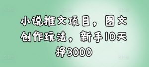 小说推文项目，图文创作玩法，新手10天挣3000-木白网创