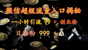 微信超级流量入口揭秘：一小时引流 99 + 创业粉，日涨粉 999 +-木白网创