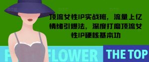 顶流女性IP实战班，流量上亿情绪引爆法，深度打磨顶流女性IP硬核基本功-木白网创