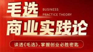 毛选商业实践论，读透《毛选》掌握创业必胜密匙-木白网创