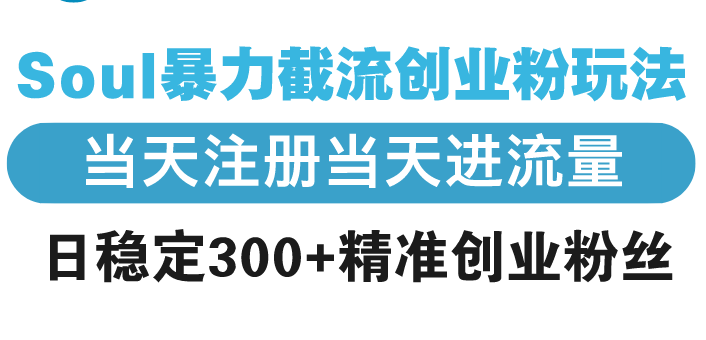 Soul暴力截流创业粉玩法，当天注册当天进流量，日稳定300+精准创业粉丝-木白网创