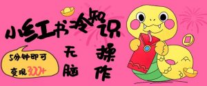 小红书冷知识账号，无脑复制粘贴，5分钟即可变现3张-木白网创
