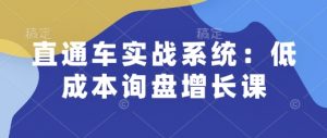 直通车实战系统：低成本询盘增长课，让个人通过技能实现升职加薪，让企业低成本获客，订单源源不断-木白网创