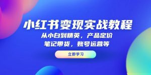 小红书变现实战教程：从小白到精英，产品定价，笔记带货，账号运营等-木白网创