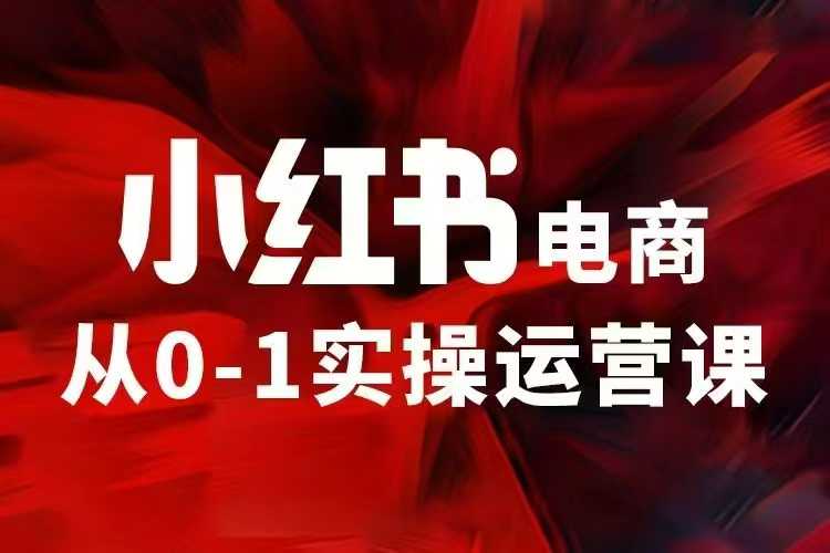 小红书电商运营，97节小红书vip内部课，带你实现小红书赚钱-木白网创