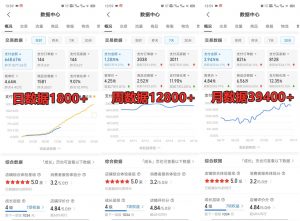 拼多多虚拟店铺项目，电脑挂机自动发货，单店日利润300+-木白网创