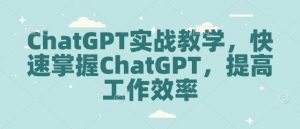 ChatGPT实战教学，快速掌握ChatGPT，提高工作效率-木白网创