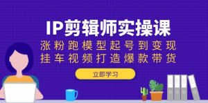 IP剪辑师实操课：涨粉跑模型起号到变现，挂车视频打造爆款带货-木白网创