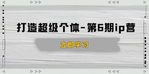 打造 超级个体-第6期ip营：商业认知,产品设计,成交演练,解决知识变现难题-木白网创