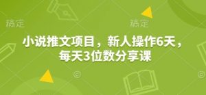 小说推文项目，新人操作6天，每天3位数分享课-木白网创
