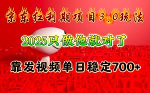 京东红利项目3.0玩法,2025只做他就对了,靠发视频单日稳定700+-木白网创