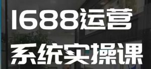 1688高阶运营系统实操课,快速掌握1688店铺运营的核心玩法-木白网创