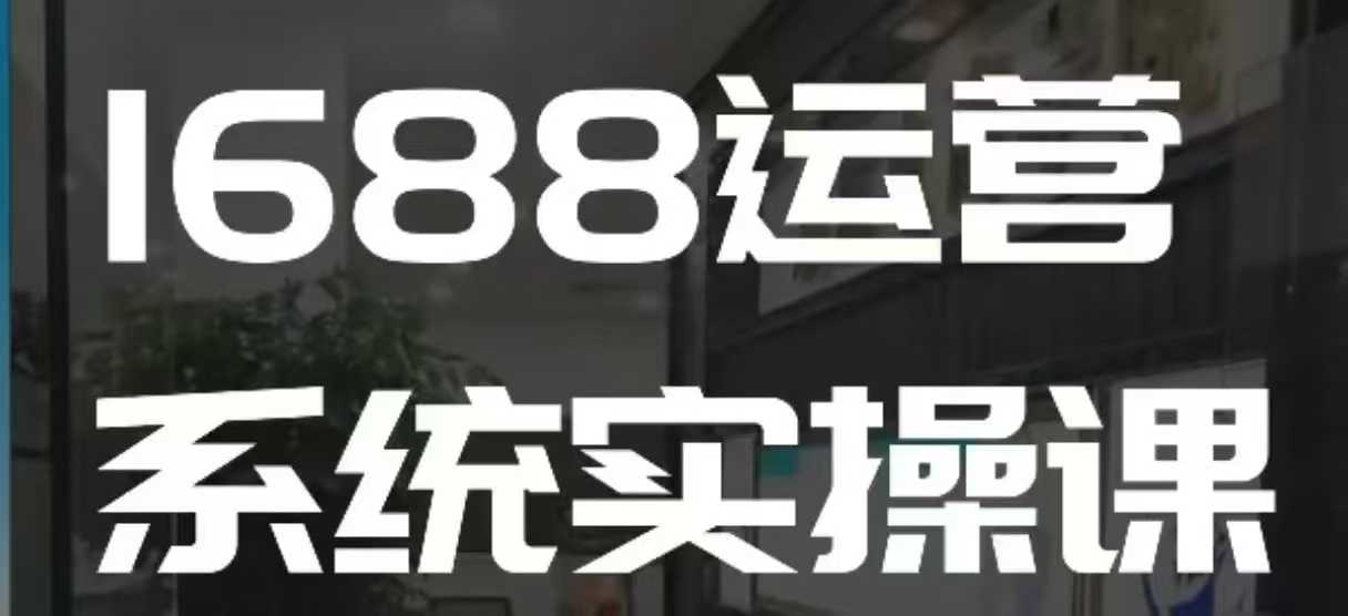 1688高阶运营系统实操课，快速掌握1688店铺运营的核心玩法-木白网创