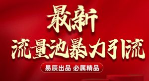 最新“流量池”无门槛暴力引流(全网首发)日引500+-木白网创