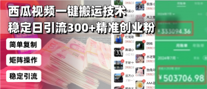 西瓜视频一键搬运技术，稳定日引流300+精准创业粉，简单可复制给团队，...-木白网创