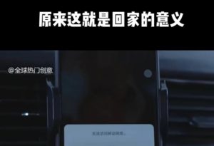 利用春节风口，制作热点视频，多种玩法类型，新手也能轻松变现！-木白网创