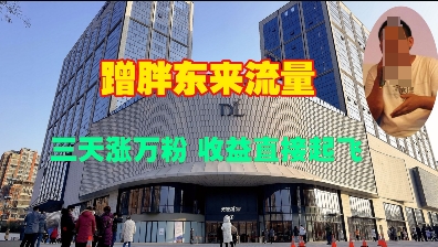 蹭胖东来流量，三天涨万粉，收益直接起飞-木白网创
