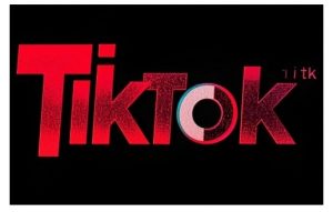 TikTok ads投流秘籍，涵盖tiktok整体投放思路，教你搭建测试计划-木白网创