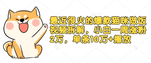 最近很火的爆款猫咪做饭视频拆解，小白一周涨粉2万，单条10万+播放(附保姆级教程)-木白网创