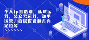 个人ip打造课，私域运营，公众号运营，知乎运营，底层逻辑和方向定位等-木白网创