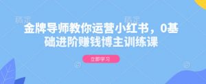 金牌导师教你运营小红书，0基础进阶赚钱博主训练课-木白网创