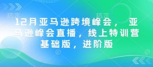 12月亚马逊跨境峰会， 亚马逊峰会直播，线上特训营基础版，进阶版-木白网创