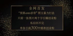 小红书神奇图片引流法，只需一张图，就能单条笔记凭借此方法，轻松引流 300 + 精准创业粉-木白网创