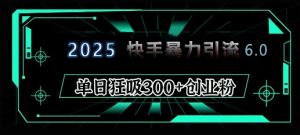 2025年快手6.0保姆级教程震撼来袭，单日狂吸300+精准创业粉-木白网创