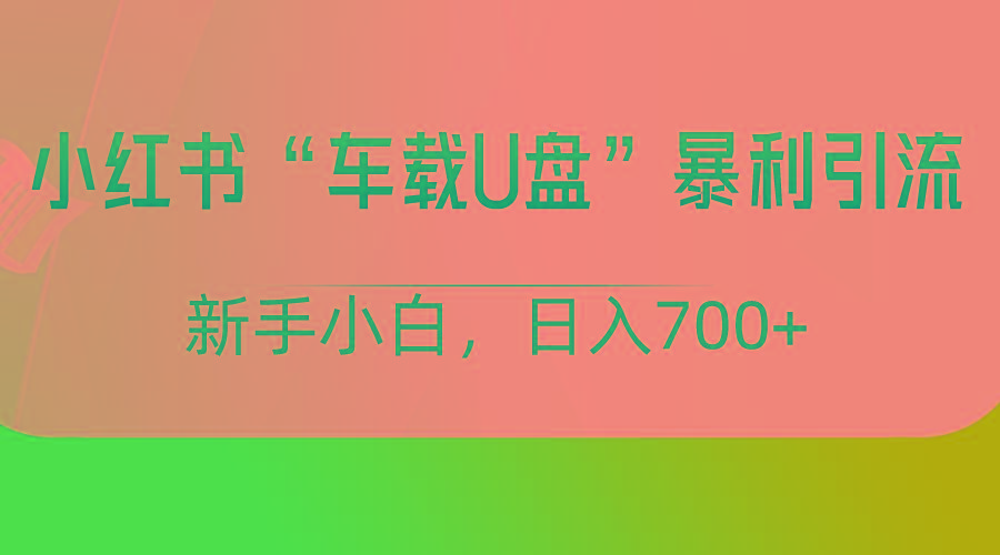 小红书“车载U盘”项目，暴利引流，新手小白轻松日入700+-木白网创