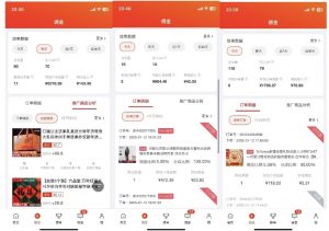 2025最新京东蓝海项目，0 门槛日入 1k+，小白宝妈轻松上手【揭秘】-木白网创