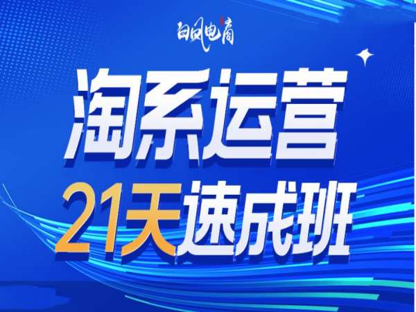 淘系运营21天速成班35期，年前最后一波和2025方向-木白网创