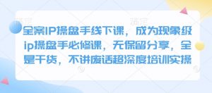全案IP操盘手线下课，成为现象级ip操盘手必修课，无保留分享，全是干货，不讲废话超深度培训实操-木白网创