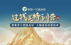 剽悍一只猫-过钱关特训营，学习营销真经 大幅度提高创富效率-木白网创